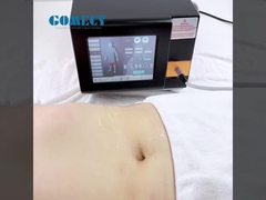 জিএমএস পিএসডব্লিউ প্রো