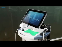 আইপি ১০০